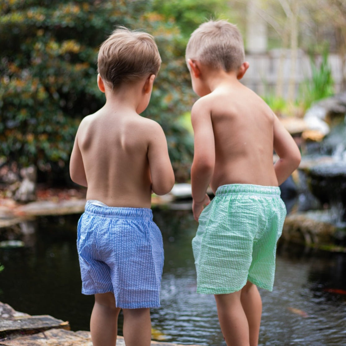 Boys Seersucker Swim Shorts - Little Blanks